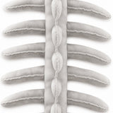 DinoBones™ · שלד דינוזאור לבישה