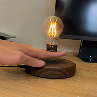 AeroBulb בשימוש בבית